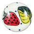 Drawer Pull, 1.25", WR (WR67A) in "Strawberries & Blossoms" by W.R. Ceramika | WR67A-WR2